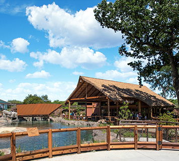 Image of a hippo exhibit at a zoo. Exhibit include water and covered space.